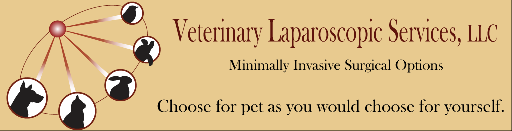 Veterinary Laparoscopic Services, LLC